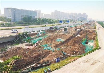 金灣“情侶路”綠化工程加速推進(jìn)，航展前有望“迎客”