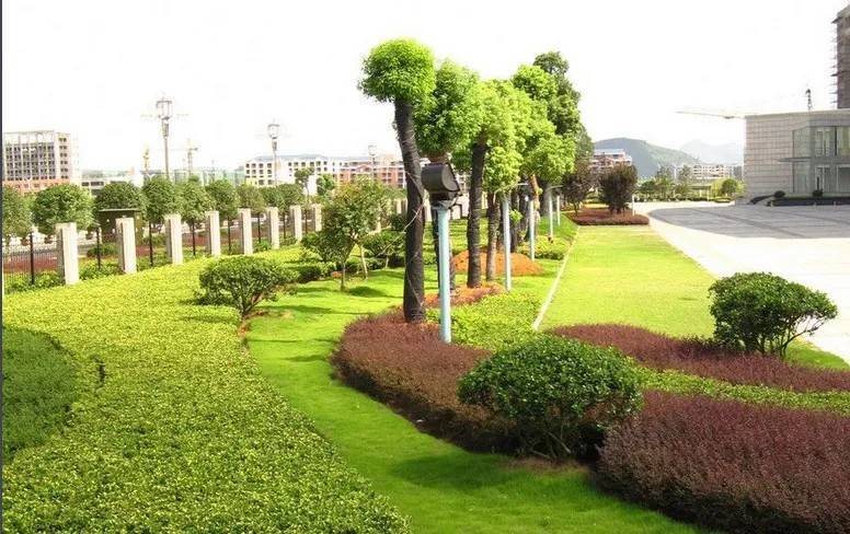 以園林綠化工程為基石，推進城市生態高質量發展